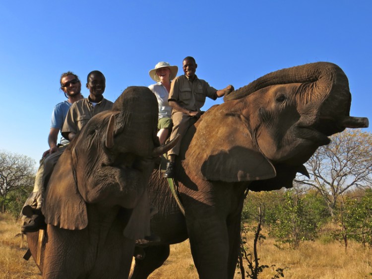 Some of the perks of serving the Church in Zambia.