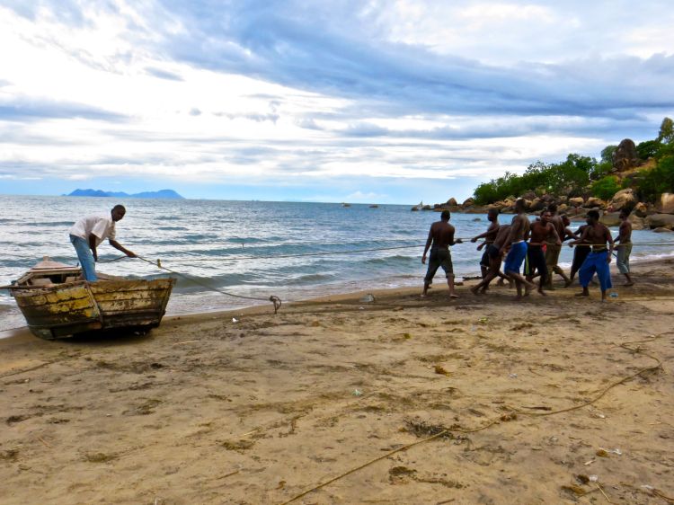 PullingIntheNetMalawi