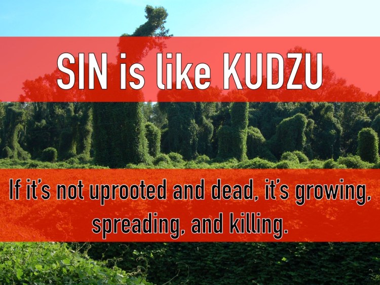 SinKudzu